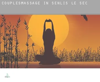 Couples massage in  Senlis-le-Sec